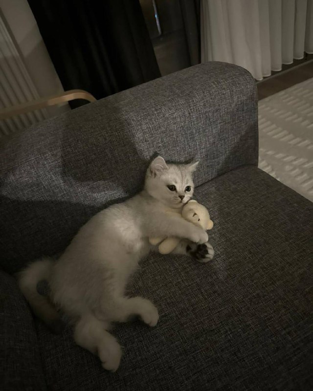 Ложимся споть :3