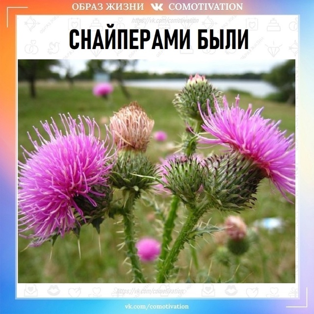 Какими только ролями мы не играли в детстве!