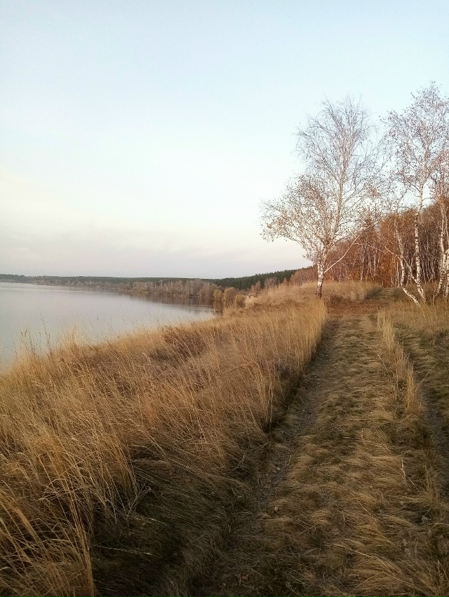 Немного позитива в ленту.На снимках-подборка №2 ,краси?...