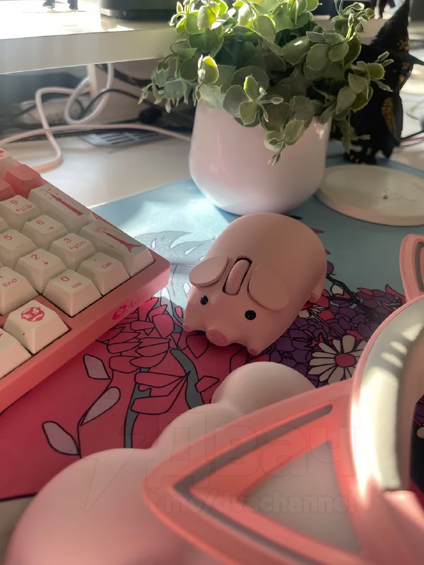 На российские маркетплейсы завезли беспроводную свиномышь
Цена имбы — 1400 рублей.
Мам купи