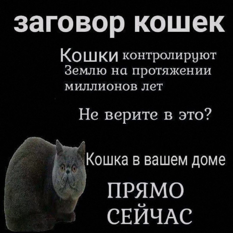 Ночная подборочка
Спать, режим