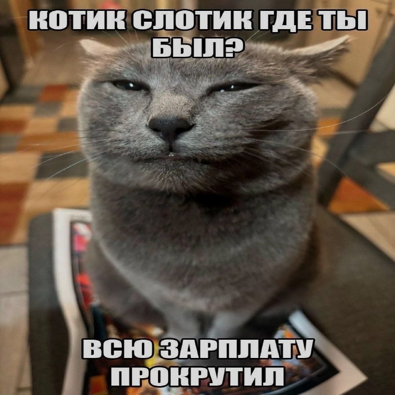 Ночная подборочка
Спать, режим