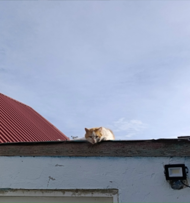 Бандиты
Лёлик
И
Толик