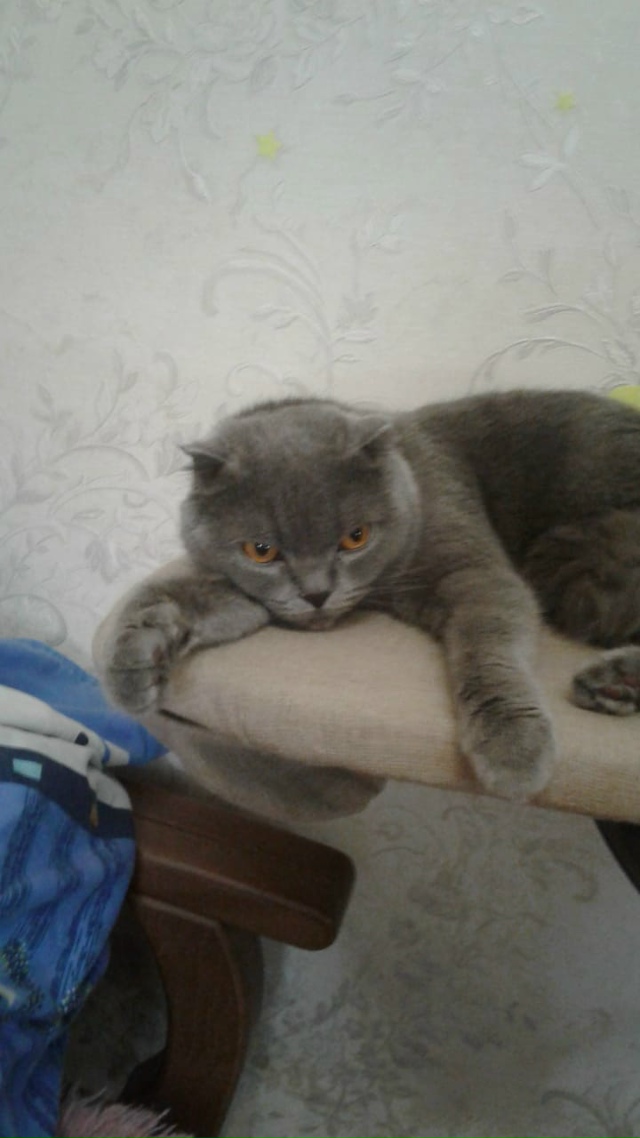 Мой Сосик💖💖