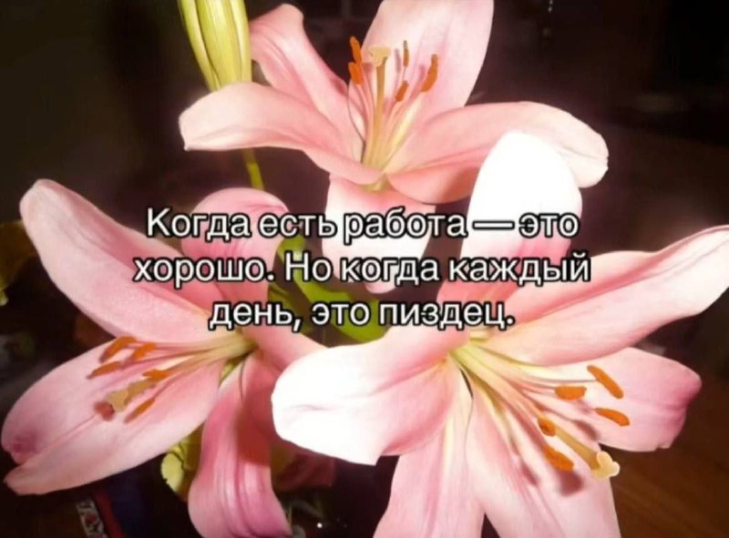Утренняя подборочка