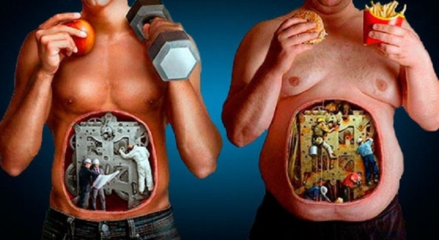 ШОКИРУЮЩИЕ ФАКТЫ, О КОТОРЫХ ПОЧТИ НИКТО НЕ ГОВОРИТ. АЛК...