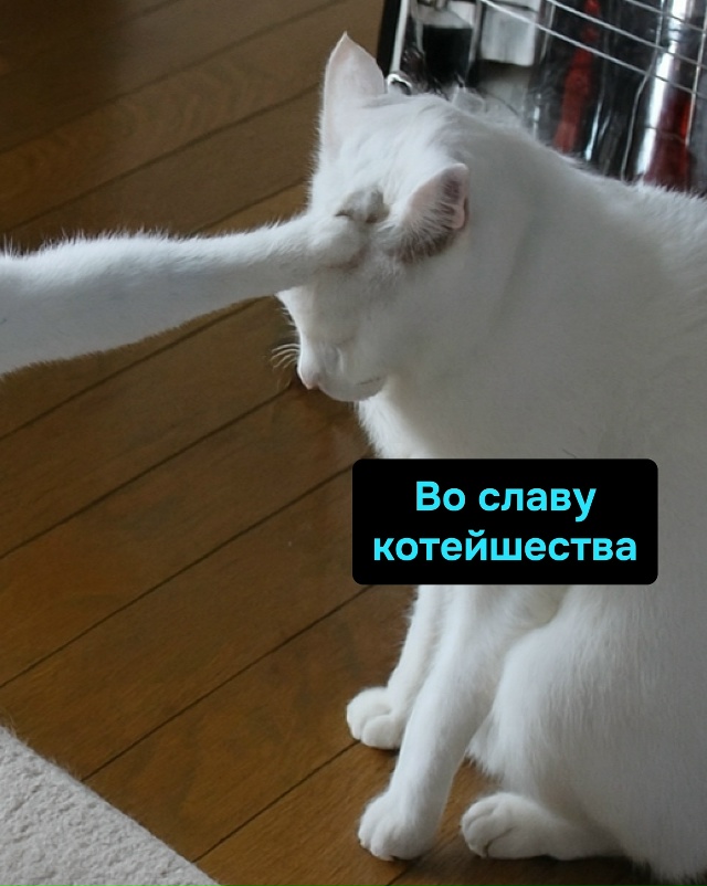 Так передаётся древняя сила беспричинного ора и внеза?...