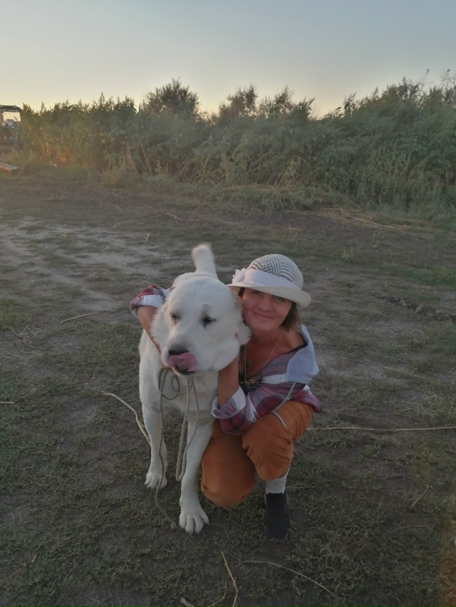 Продам щенков породы Алабай, 2 мальчика и 3 девочки. По в...