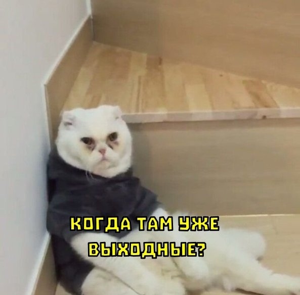 По данным результатов опроса ВЦИОМ, 37% россиян чувству?...