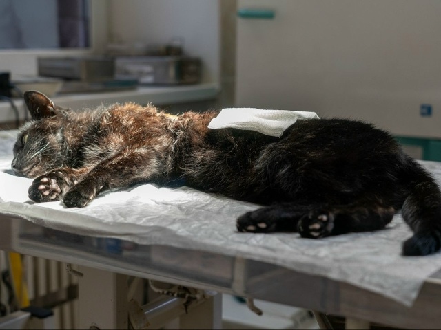 В Орехово-Зуеве зафиксировали волну жалоб на качество ...