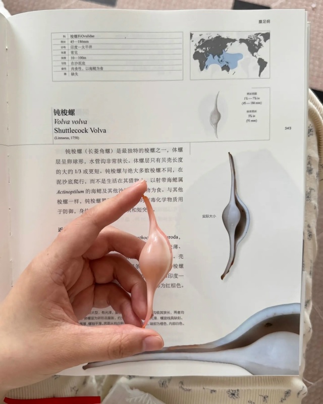 Потрясающая коллекция