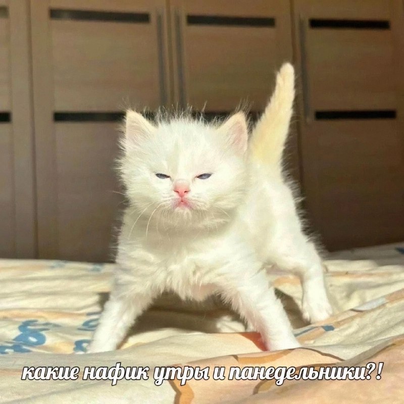 Утренняя подборочка