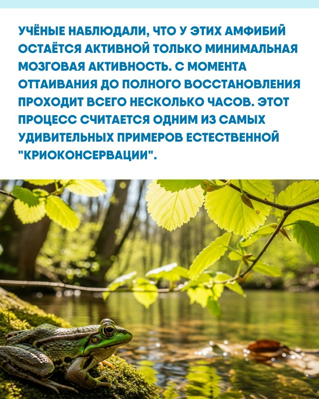 Удивительно, что природа уже нашла способ 