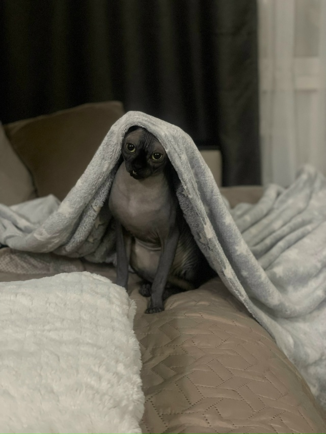 Котосын Лёня