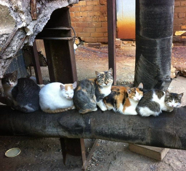 Как же я люблю змей из отдела бухгалтерии, вот они слев?...