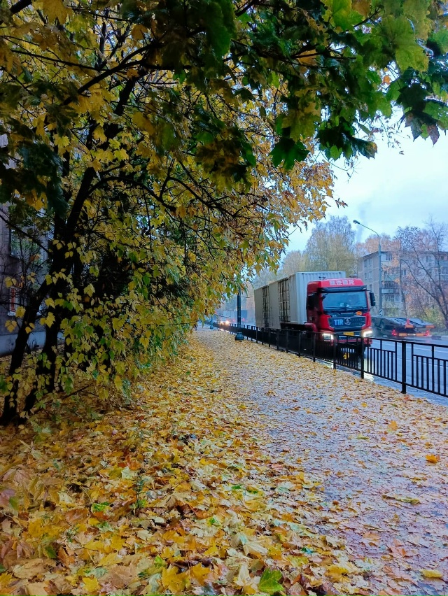 Доброе утро ☀️
📸Ирина Белова