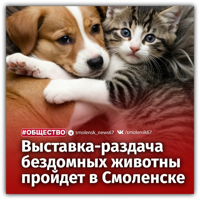 🐈🐕15 ноября, в субботу, с 12.00 до 15.00, в ТРЦ 
