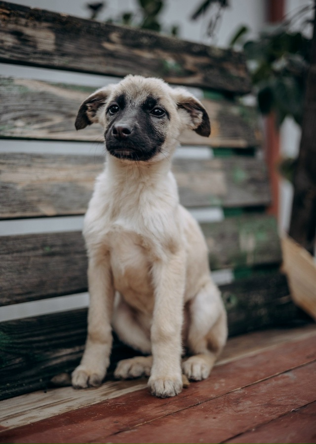 Здравствуйте! Разместите пожалуйста пост 🙏
Очень ище?...