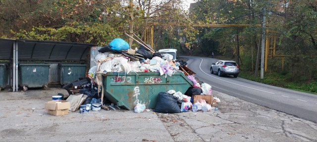 Крысы, вонь и пожарная опасность: сочинцы стали заложн?...