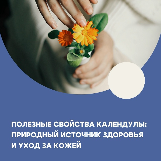 Календула, известная также как маргаритка или ноготки,...