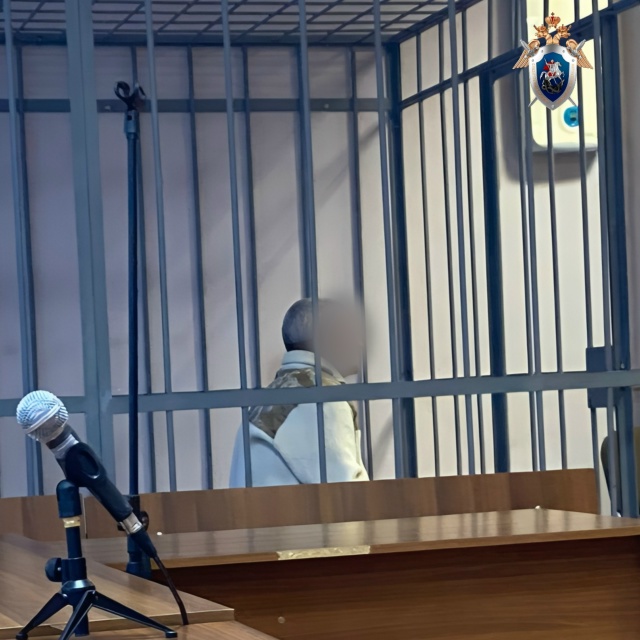 ❗️В Смоленске ранее судимый мужчина обвиняется в уби?...