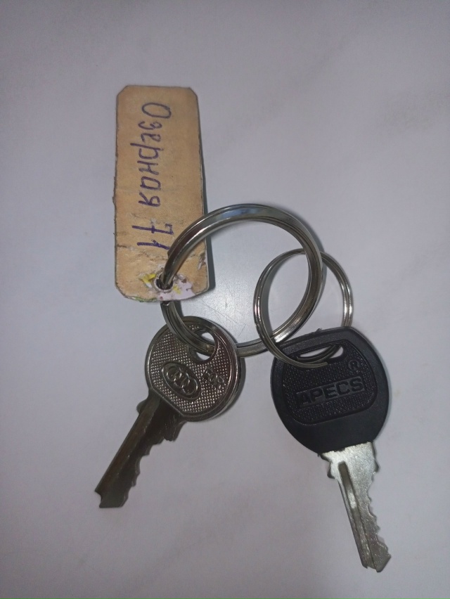 Найдены у 1 подьезда на улице Лесная 14.
Звонить 921 163 43 87