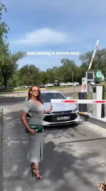 Две змеи разного вида