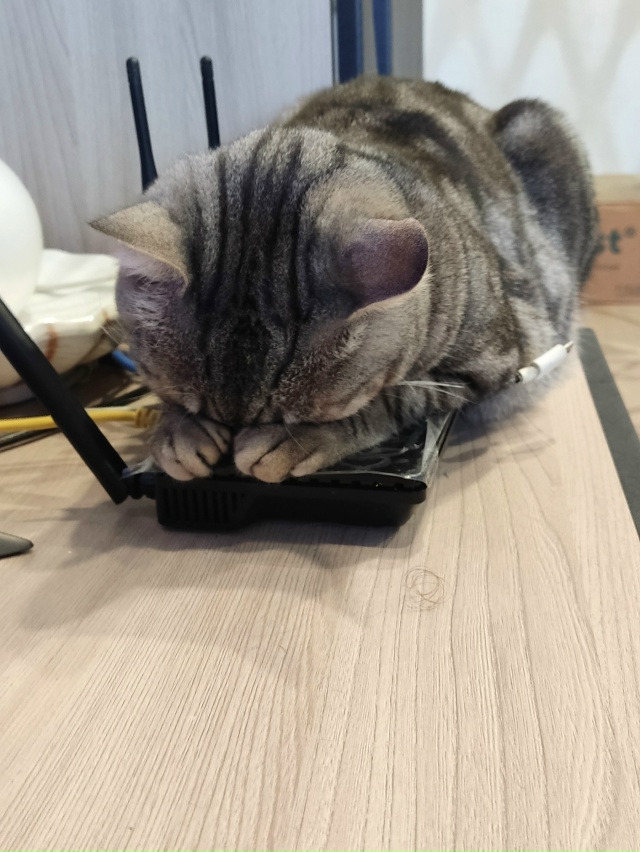 Осень, похолодало. Моя мерзлячка.