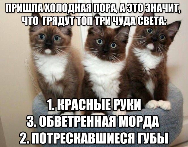 🥶🍂В Воронеж пришла поздняя осень и вместе с ней три в...