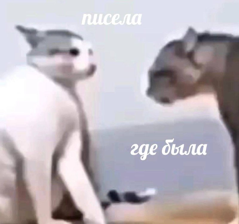 Когда подруге написал бывший, поэтому я превращаюсь в абьюзера и тирана, который не может выпустить