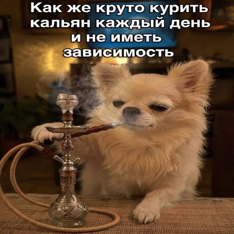 Утренняя подборочка