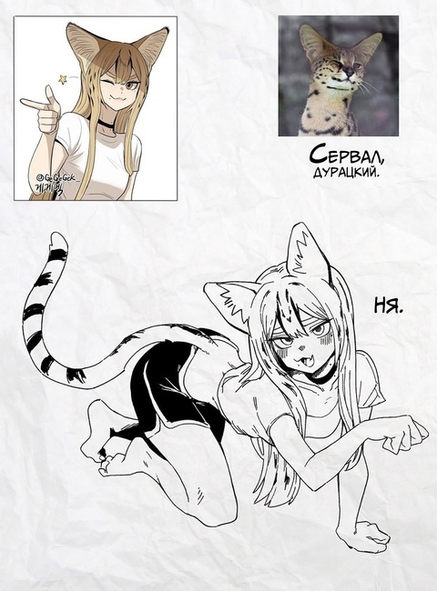 Как вам подборка?