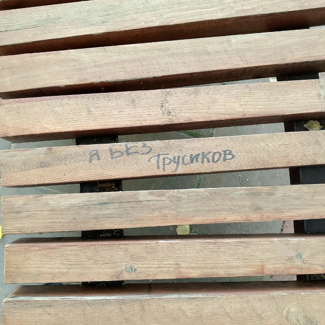В парке г. Отрадного заметили неожиданное откровение