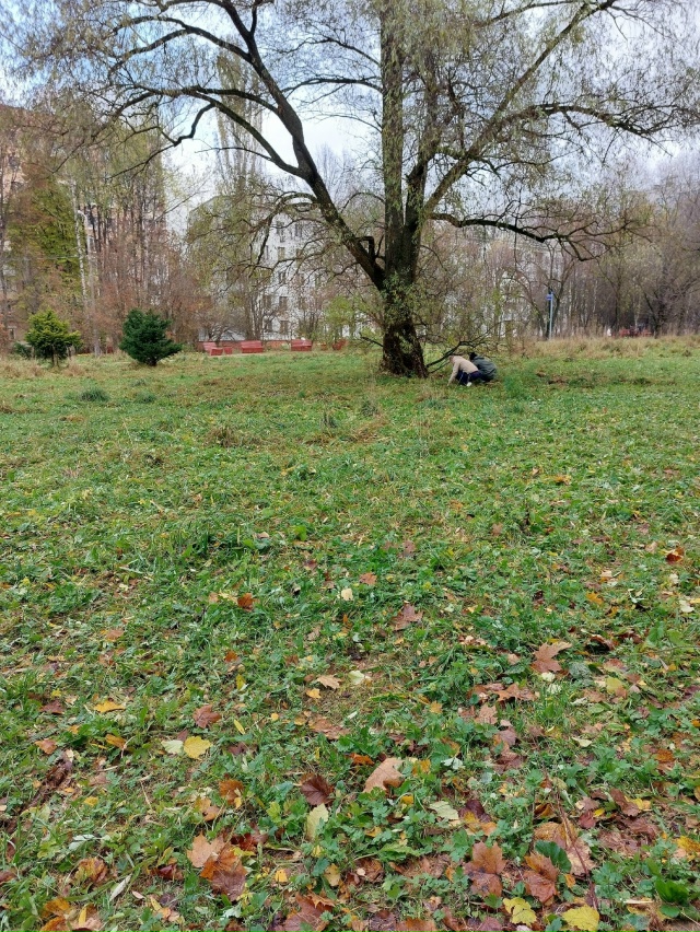 🗣️
Когда уже у нас в Воронеже полицией будут приняты ...