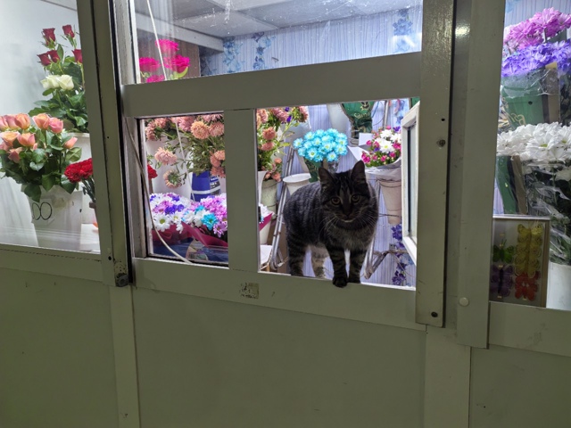 самый дорогой цветочек