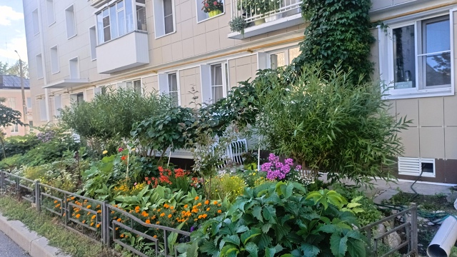 Смотрите какая красота на советской 17 😍