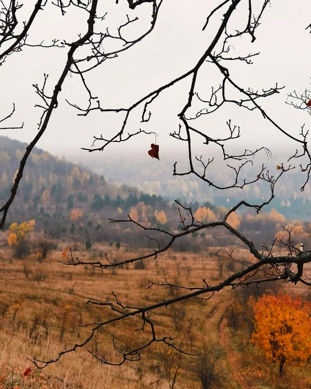 Ширяевский овраг, Самарская лука
📍53°23′42.3″N 49°55′13.7″...