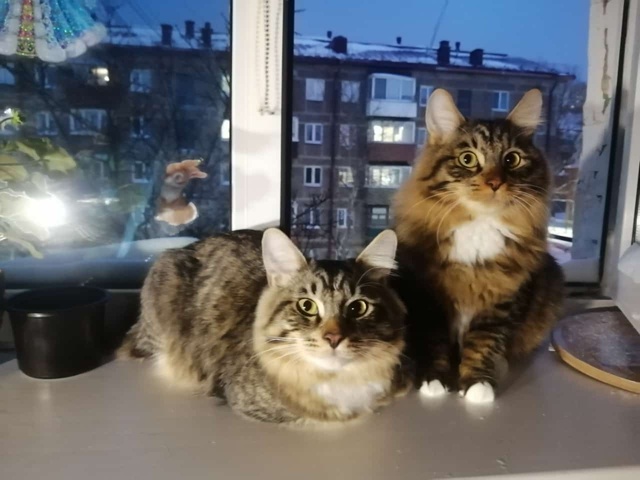 Пацаны. 1,5года