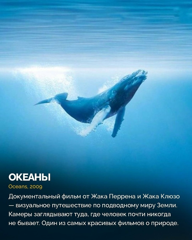 10 обсуждаемых документальных фильмов, которые будут в?...