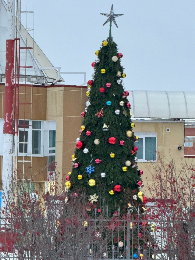 Елочный десант в центре города