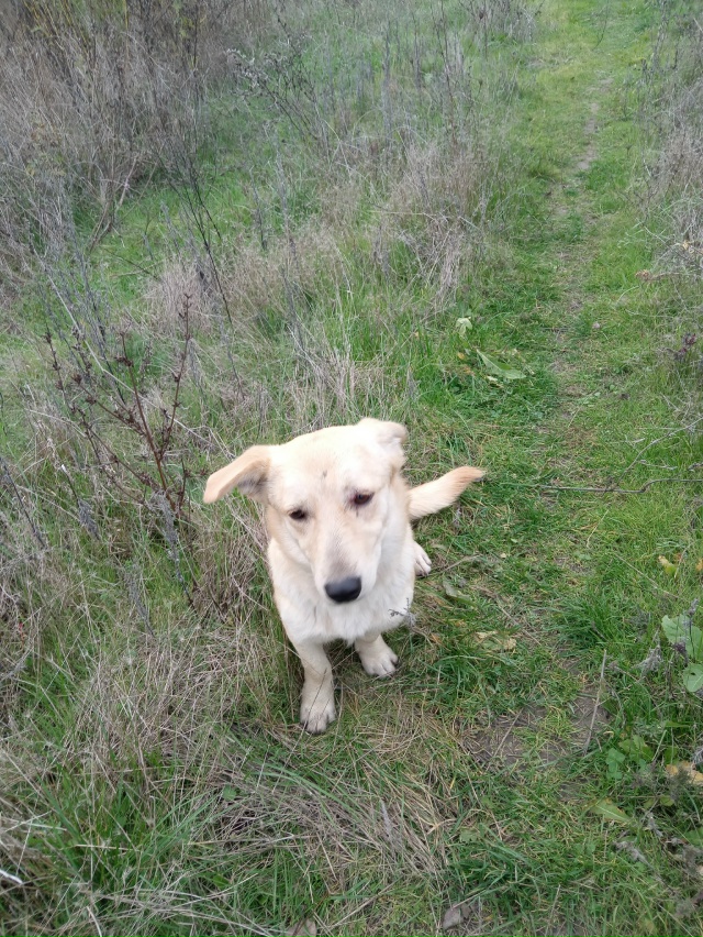 Добрый вечер! Примерно месяц назад на нашей улице появ?...