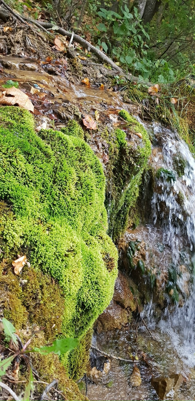 Водохранилище Нугуш?
По ту сторону Нугуша? Красота ?...