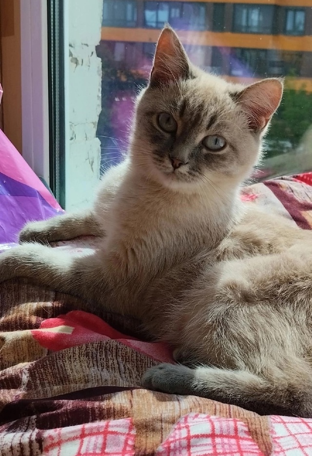 ПОЖАЛУЙСТА ОПУБЛИКУЙТЕ!!! Всем добрый день! Может кто-т...