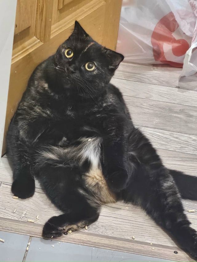 Красивая.Знающая себе цену как подобает британцам.Нез?...