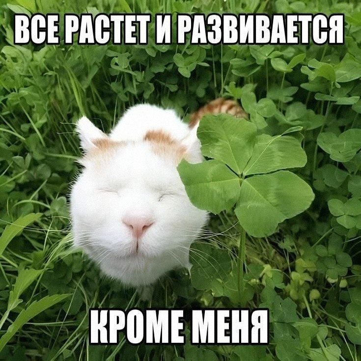 Утренняя подборочка