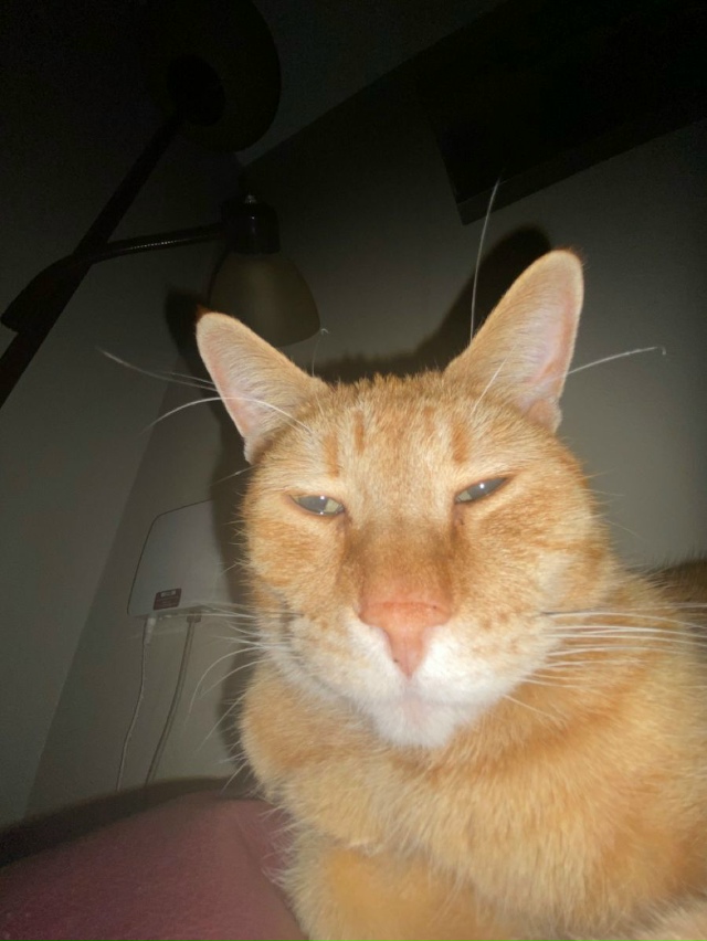 Стало понятно