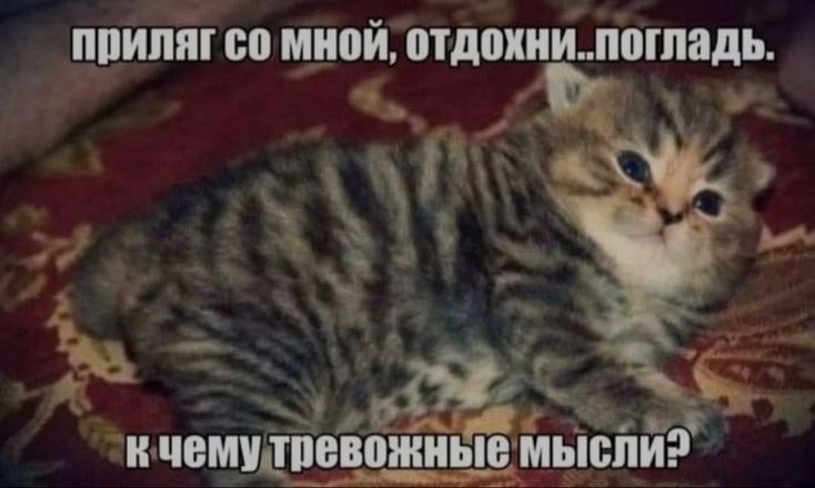 Ночная подборочка
Спать, режим