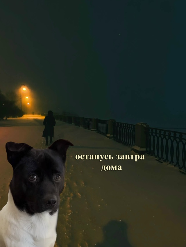 Чисто я:
