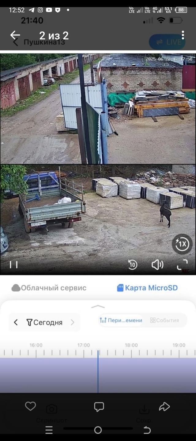 Убежал овца чёрная улица Пушкина 13 номер телефона 7 968 9...