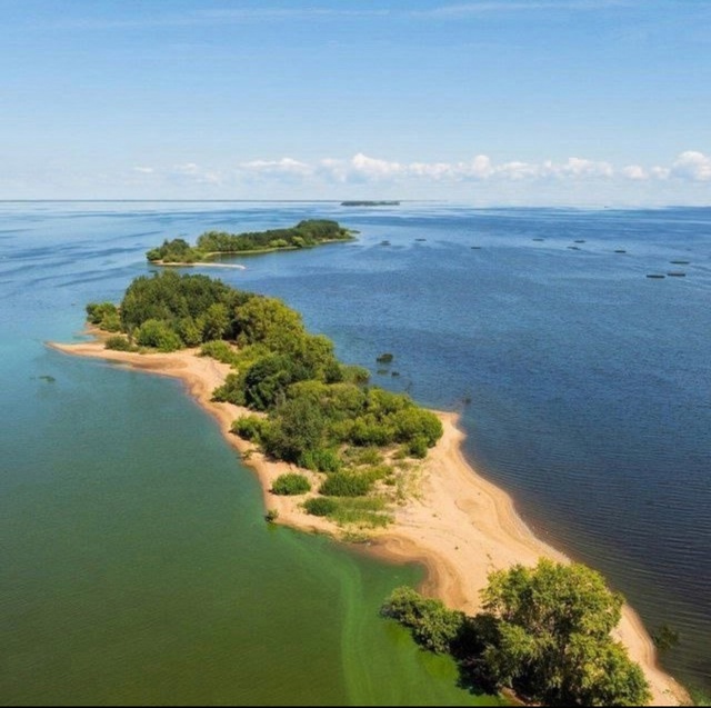 Остров Трясье (Коприно). В народе это место называют 